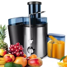 1000W Juicer Machine Stainless