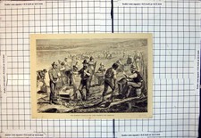 Original Old Antique Print