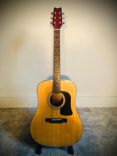 Washburn d10s nat - washburn,