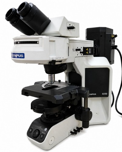 Olympus bx53f fluorescence - bx53f,