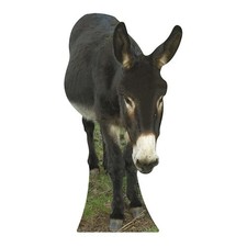 Donkey Lifesize Cardboard