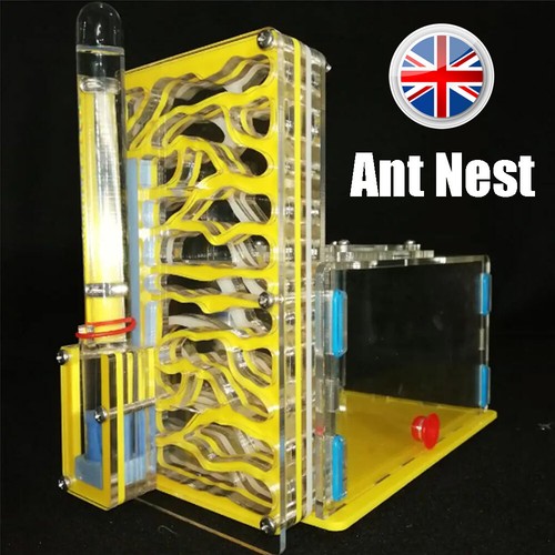 Ant house - farm, with