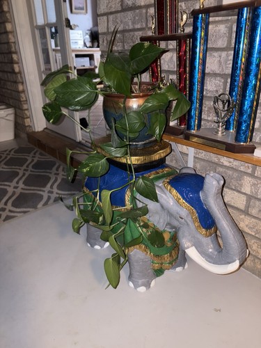 Large ceramic hollywood - large,