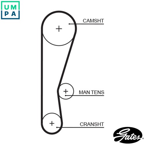 Timing belt 5119 for - timing, honda