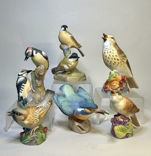 Vintage royal worcester fine - worcester,