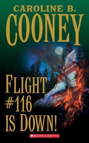 Flight 116 down - flight, #116