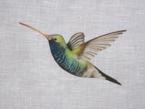 Harlequin curtain fabric - curtain,