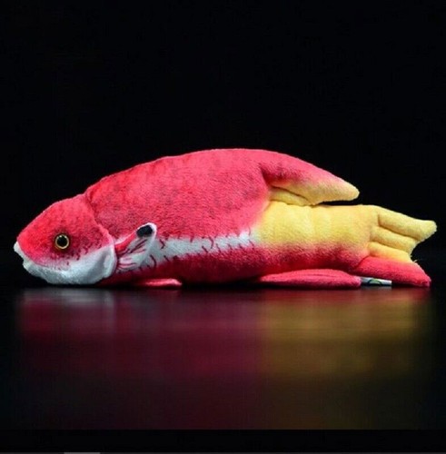 25cm tropical fish cuban - tropical,