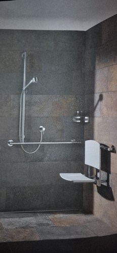 Shower corner grab rail with - corner,