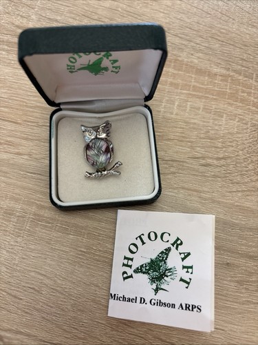 Photocraft owl brooch new - brooch,,
