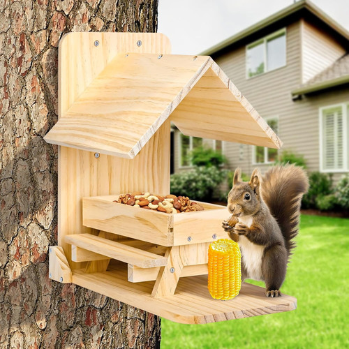 Squirrel feeders for outside - squirrel,