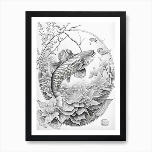 Tancho showa koi fish - tancho,