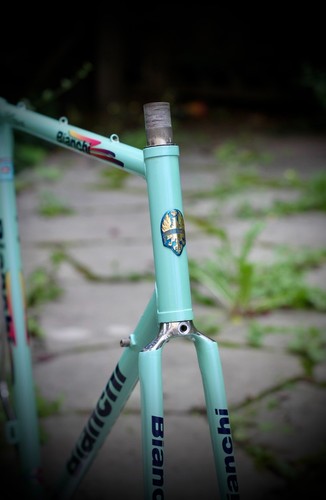 Bianchi specialissima frame - x3,