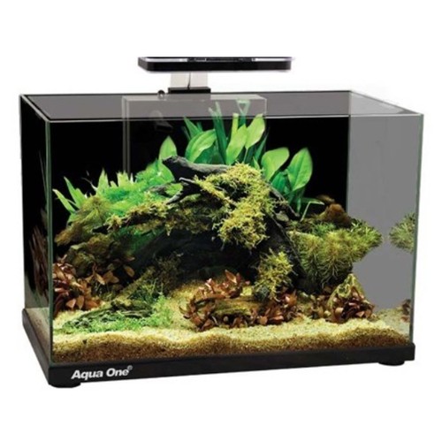 Aqua one focus glass - one,