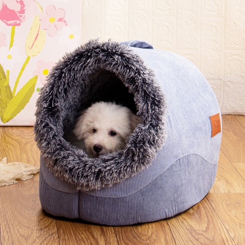 Pet cat warm soft house - pet,