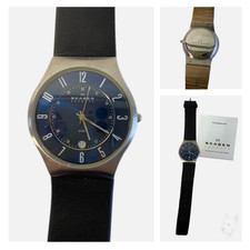 Skagen Men’s Blue Dial