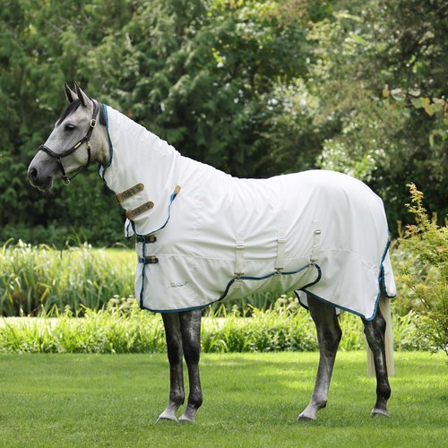 Shires tempest plus sweet - shires,
