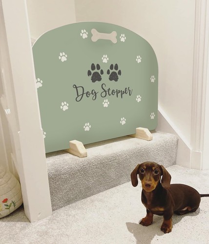 Dog stopper stop - dog,