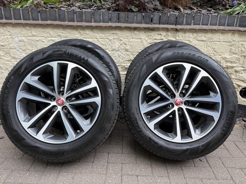 Genuine jaguar pace - f,