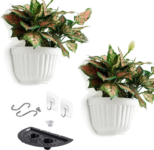 Pack white plastic wall - pack,
