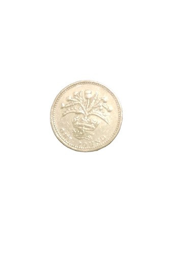 1989 one pound coin - pound, uk