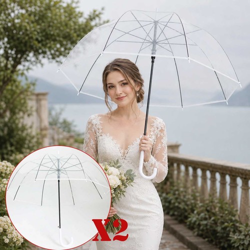 Rain umbrellas dome birdcage - rain,