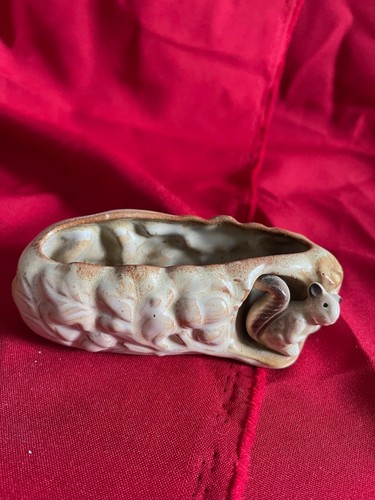 Hornsea pottery fauna - hornsea,