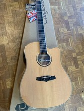 Tanglewood Winterleaf TW5CENA