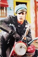 THE WILD ONE metal plaque