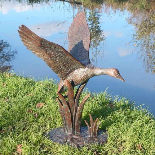 Flying duck bronze - flying,