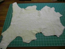 Off white short curly hair on