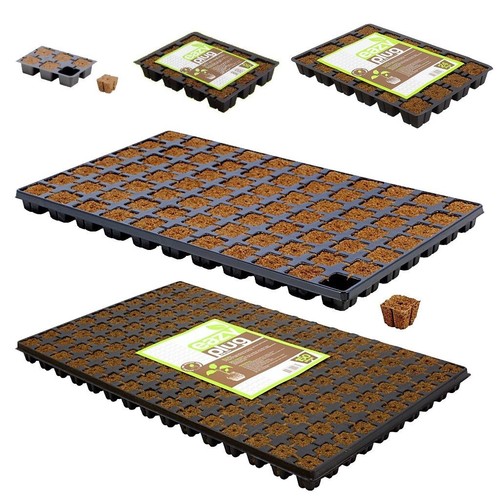 Eazy plug trays 77 - plug, 24