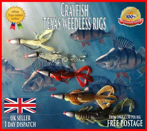 Perch zander rig pre - &,