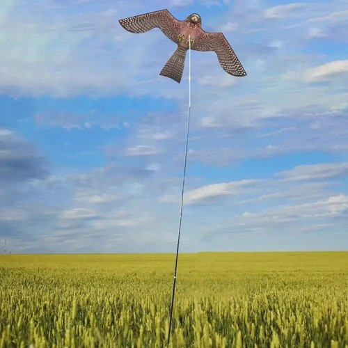 Laptony bird scarer - laptony,