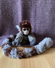 ZSL grey and brown ring-tailed