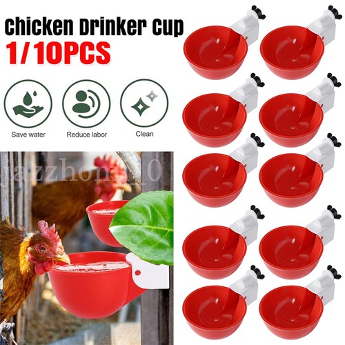 Automatic chicken water cup - automatic,