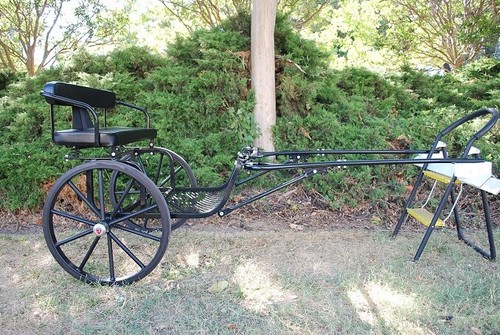 Entry small mini horse cart - entry,