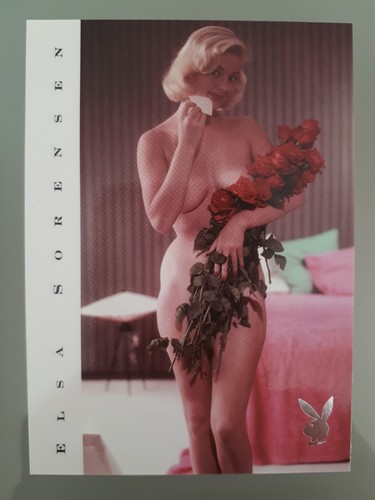 2000 playboy centerfolds of - centerfolds,