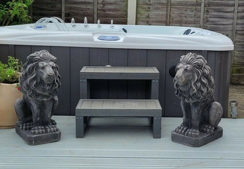 Pair sitting lions garden - of,