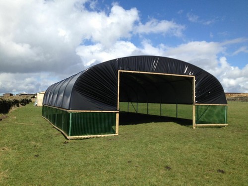 Livestock shelter sheep - livestock, house