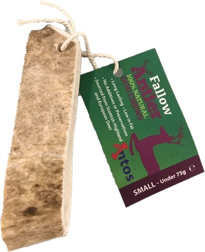 Antos fallow antler - antos, small