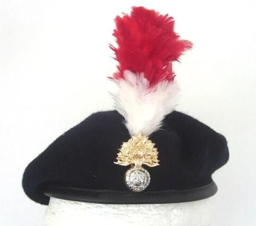 Royal regiment fusiliers - regiment,