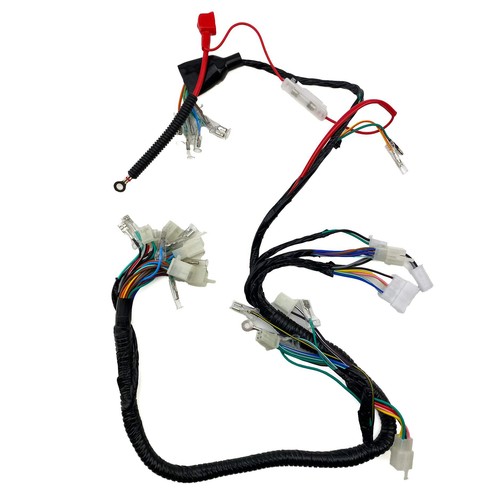 Dirt racing wiring loom - wiring,