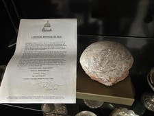 Dendrolithus Chinese Dinosaur