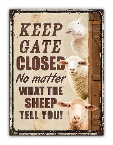 Funny sheep keep the - sheep, gate