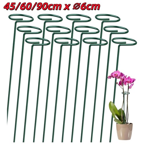 Green metal orchid rose - green,