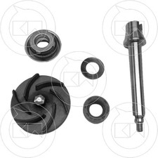 Water Pump Tree Piaggio