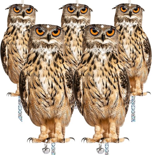 5pcs owl bird - scarer, set