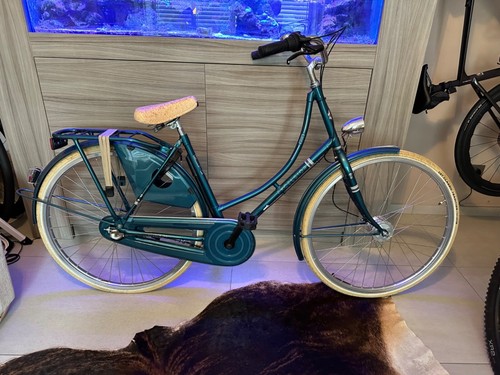 Excelsior classic dutch - classic,