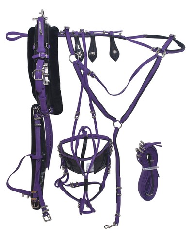 Quick hitch horse driving - horse,